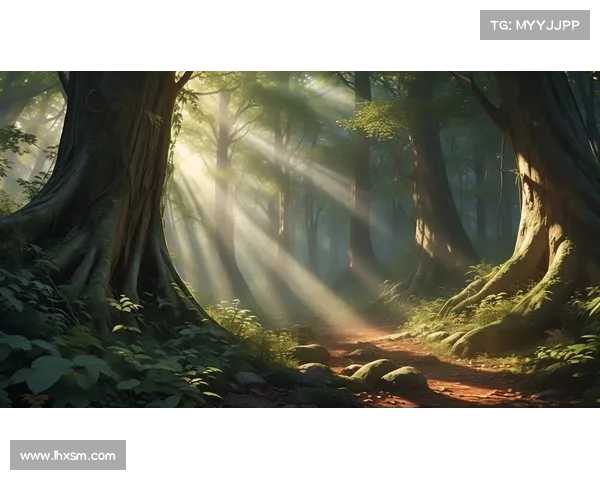 永夜幻境：迷失城堡下的冒险