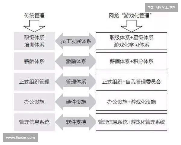 网龙游戏宝典：攻略指南与秘技大全